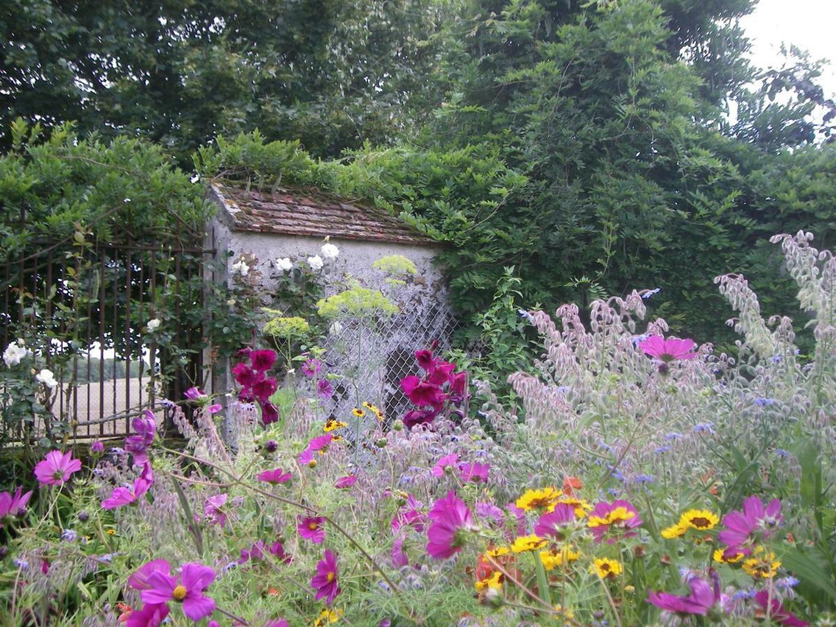 Bed and Breakfast La Ferme Le Merger à La Ferté-Gaucher Extérieur photo